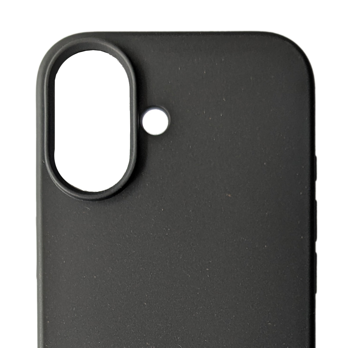 Biodegradable iPhone 17 Black