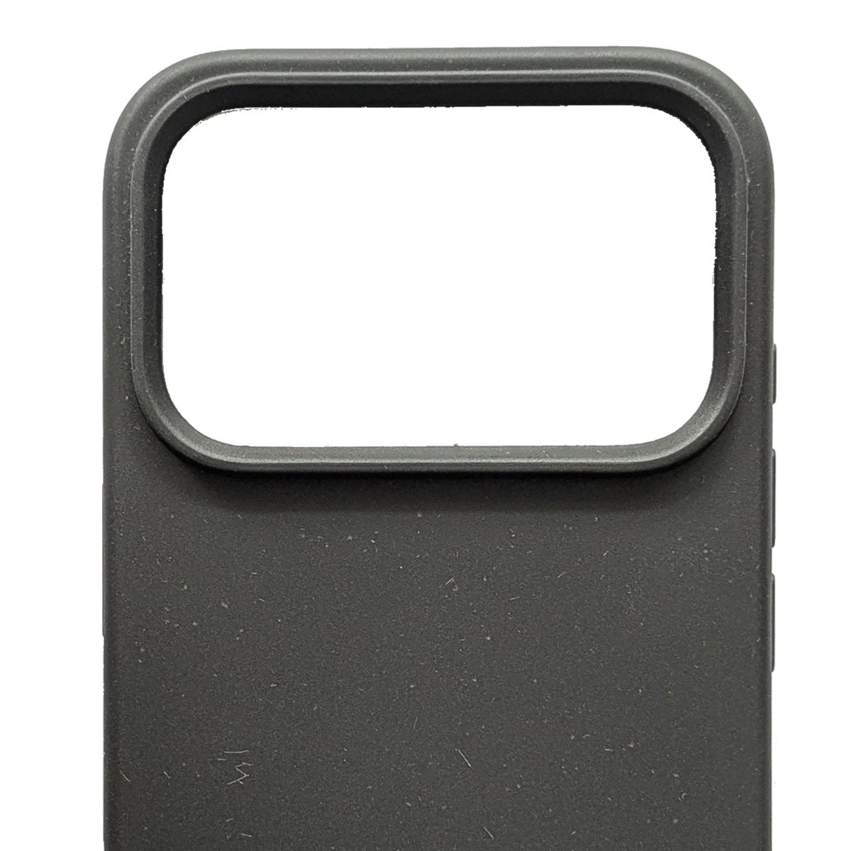 Biodegradable iPhone 17 Pro Black - Loam & Lore